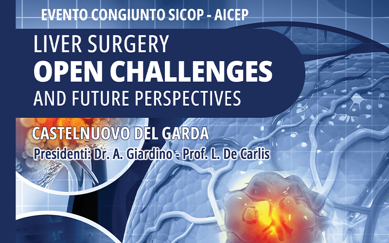 Liver Surgery – Open Challenges and Future Perspectives
